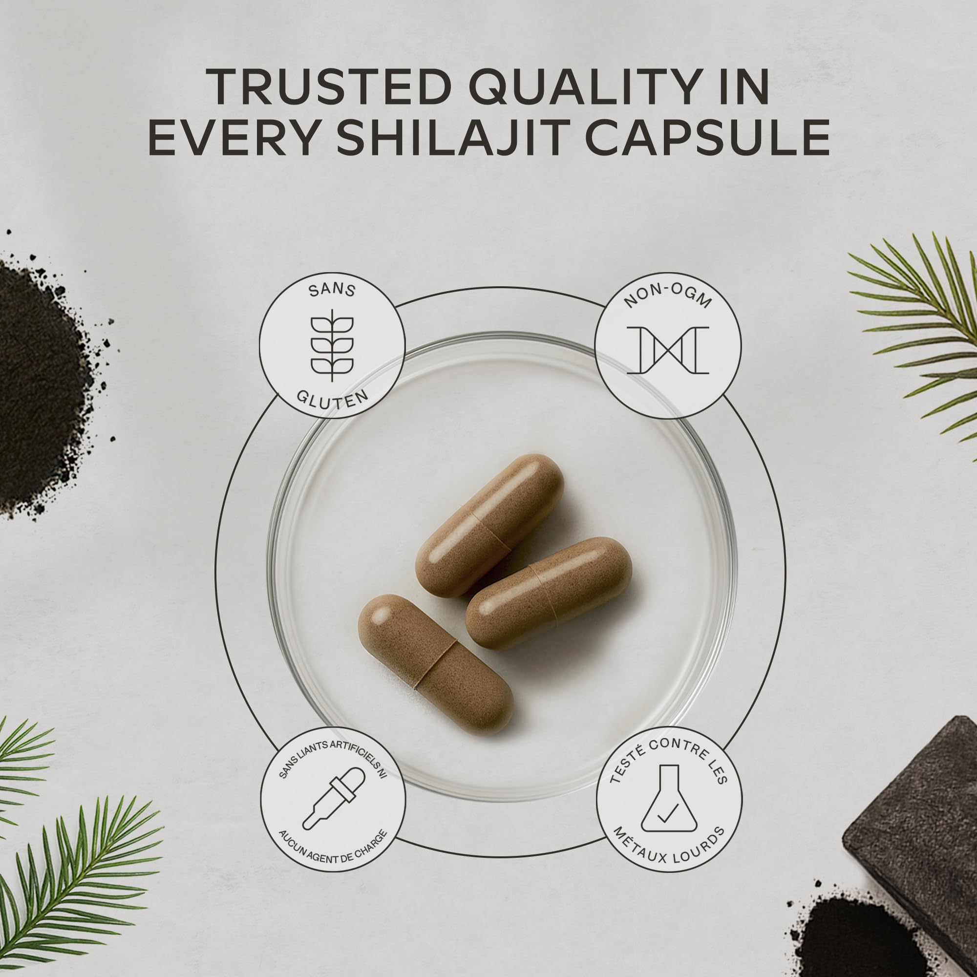 Shilajit Pure Himalaya 36000mg Extrait 30:1 | 50% Acide Fulviques Qualité Premium - Shilajite Energie et Immunité 100% Végétalien, Pur, Sans Additifs - 90 Pure Himalayan Shilajit Gélules