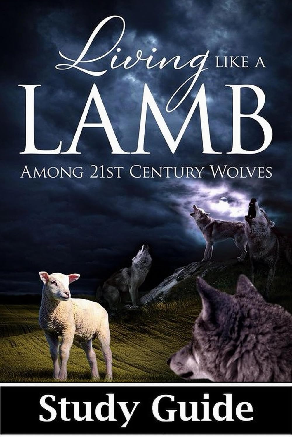 Living Like A Lamb Among 21st Century Wolves: Study Guide