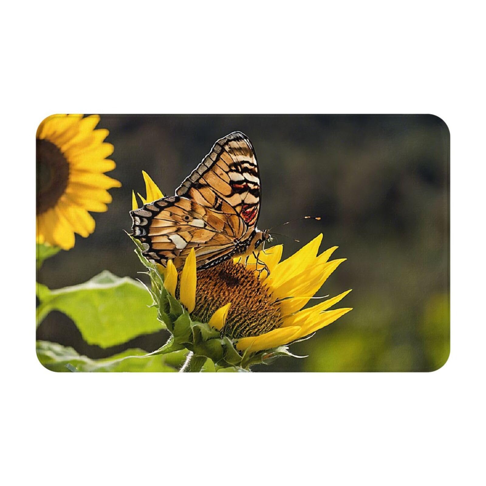Sunflower Butterfly Print Living Room Bathroom Kitchen Anti Slip and Absorbent Carpet, Indoor Entrance Door Muddy Floor Mat, Ultra Soft Washable Carpet 21x31.5 Inches