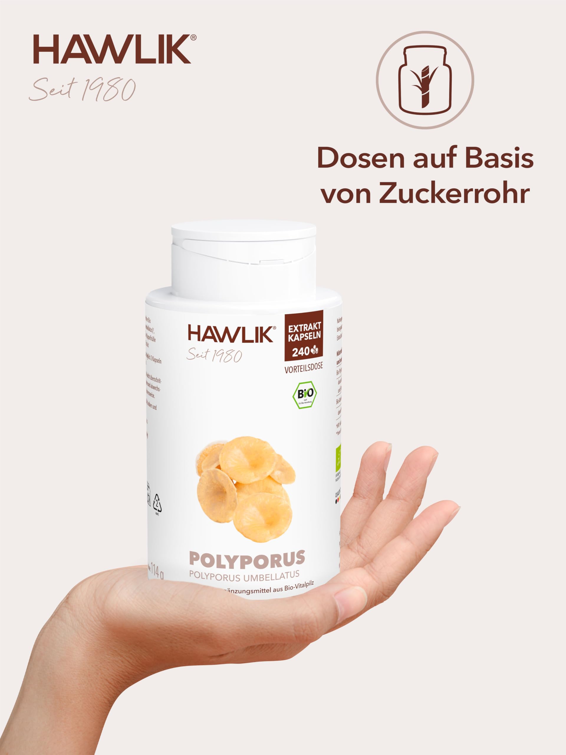 HAWLIK Vitalpilze Polyporus Extrakt Kapseln - 240 Kapseln - Mit Vitamin C - Natürlicher Anbau - Vegan - Zuckerrohr-Dose