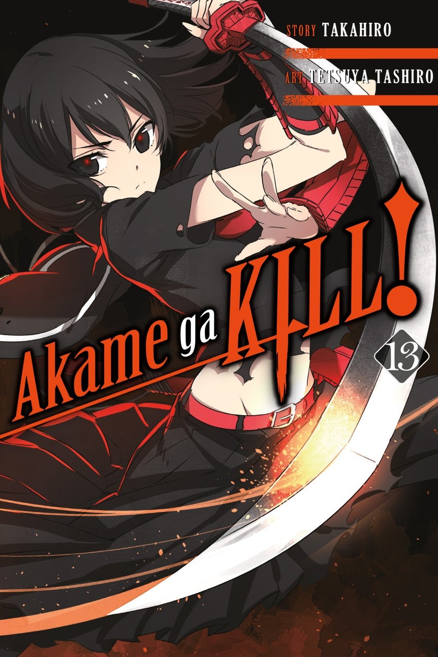 Akame Ga Kill Vol 13 Desertcart Seychelles