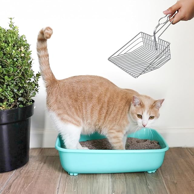 Foto 6 de 7 de Cuchara de Arena para Gatos, Pala de Metal Extra Grande y Resistente, Pala de Acero Inoxidable