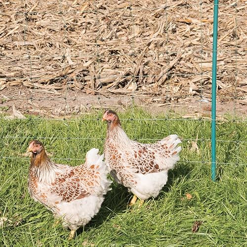 Premier 1 PermaNet+ Starter Kit | Green/Black Electric Net Fence – 48\" H x 100\'L, Includes: Solar Energizer, FiberTuff Support Posts and Tester
