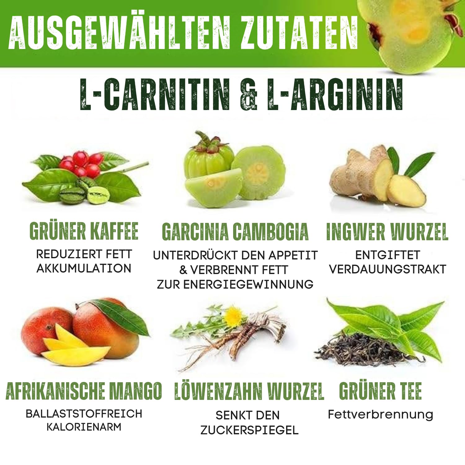 l-carnitin wirkung abnehmen und Gewichtsmanagement: berblick L-Carnitin-Ratgeber | Anwendung & Wirkung