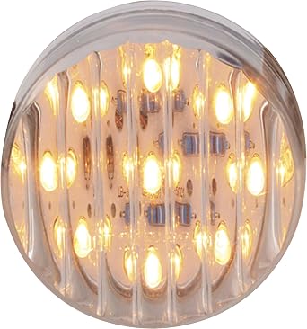 Trux Accessories Ribbed LED Marker Light - 2in. Round, 9 Diodes, Clear Amber, Model Number TLED-2TA