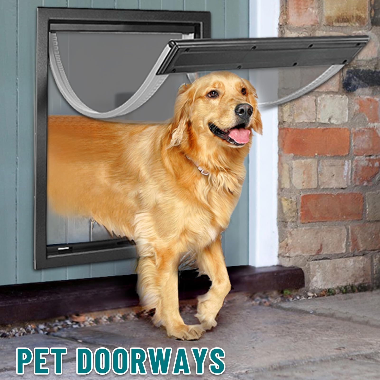 s MIAOTONG 3-Flap Dog Door For Wall, Energy-Efficient Insulated