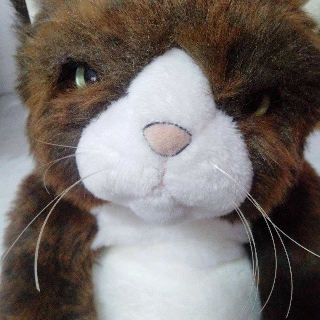 Amazon.co.jp: cuddly カドリー 猫 ぬいぐるみ ブルース : おもちゃ