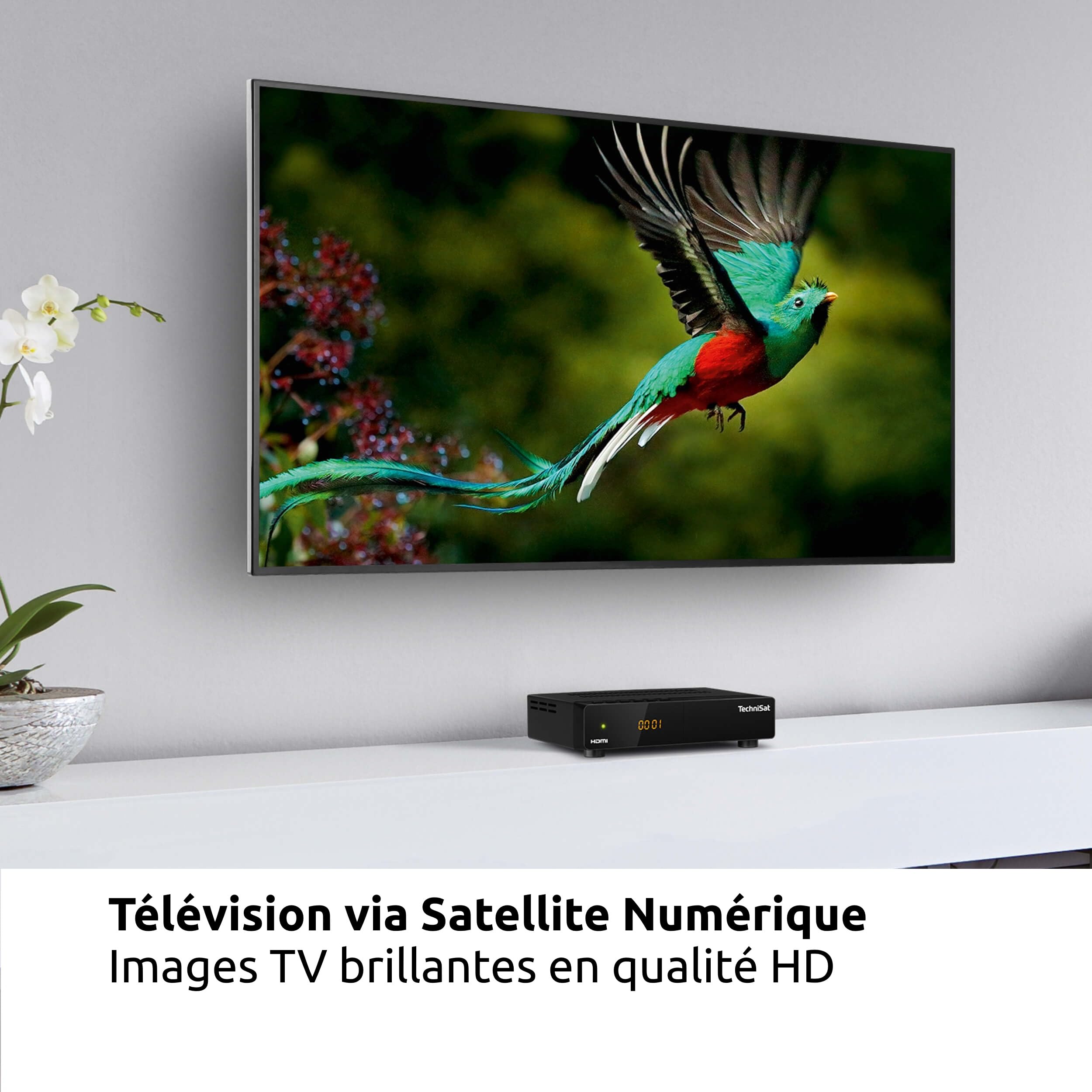 TechniSat HD-S 261 - Récepteur Satellite HD Compact (Sat DVB-S/S2, HDTV, HDMI, USB, liste préinstallée, minuterie, Commande Locale, télécommande) Noir
