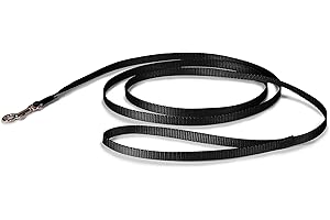 PetSafe Nylon Dog Leash: Perfect for Small Doggos!