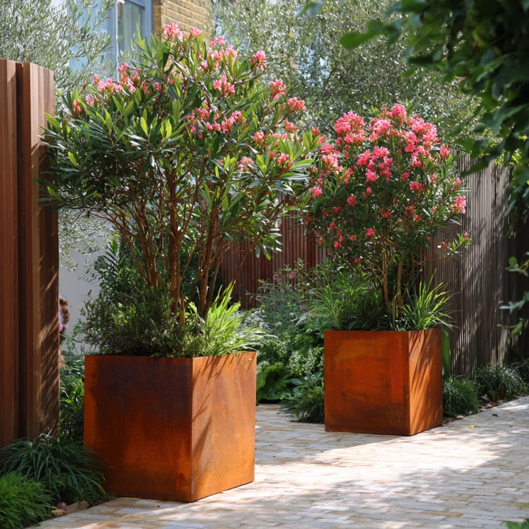 Czaja Cortenstahl Pflanzkübel 60x60x60 cm Fiorella mit Bodenplatte - Made in Germany - Rost Deko Blumenkübel quadratisch – wetterfest & langlebig – Garten Terrasse Balkon – Edelrost Pflanzgefäß