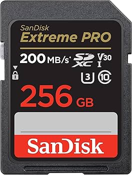 SanDisk - SANDISK Extreme PRO 256GB x2枚セット Amazon.com: SanDisk 256GB Micro SDXC Extreme Pro Memory Card