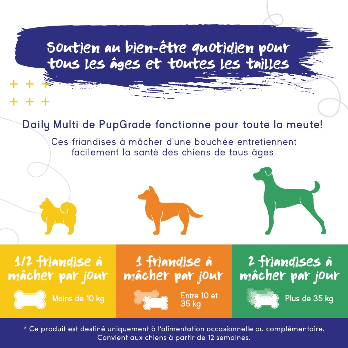PupGrade Multivitamine Quotidienne pour Chiens – Supplément Tout-en-Un – Soutient Digestion, Immunité, Peau & Pelage – Vitamines B, Taurine, Calcium, Zinc, Vitamines A, D, E – 30 Friandises Molles