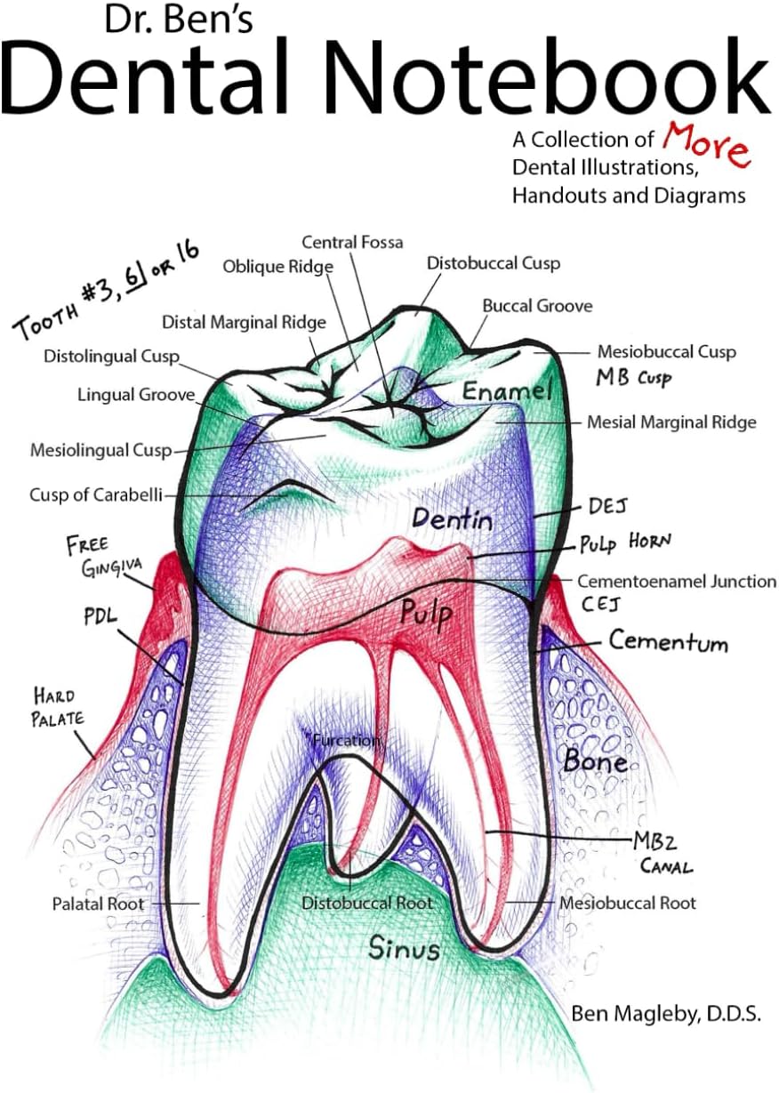 Dr. Ben's Dental Notebook: A Collection of Dental Illustrations, Handouts and Diagrams