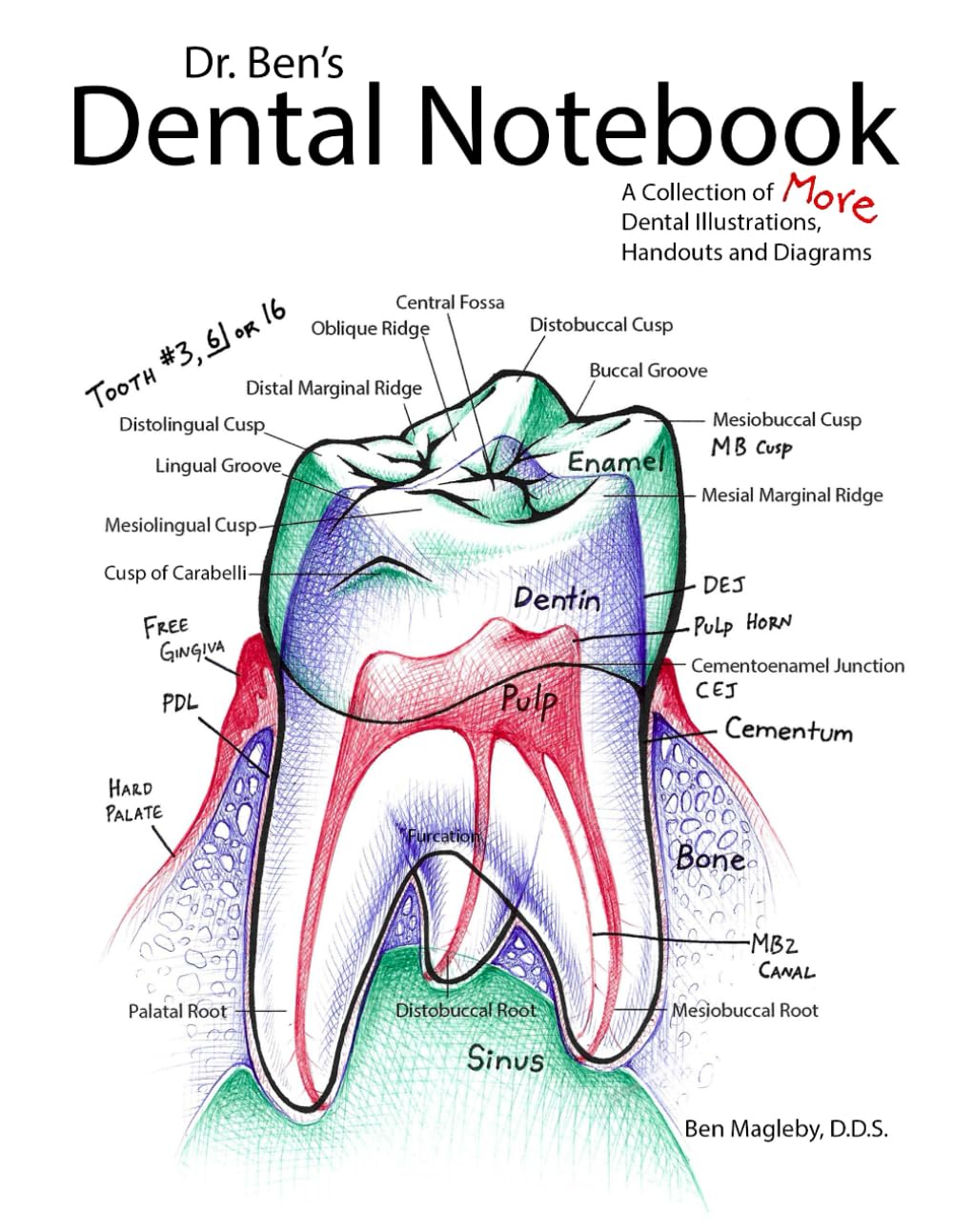 Dr. Ben's Dental Notebook: A Collection of Dental Illustrations, Handouts and Diagrams      Paperback – April 12, 2023