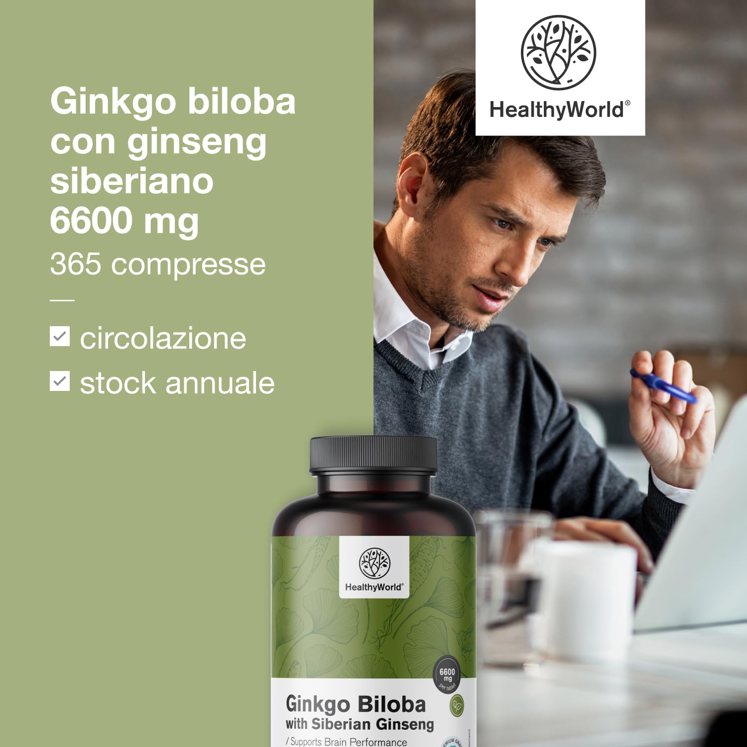 HealthyWorld® Ginkgo Biloba con Ginseng siberiano 6600 mg - Dose elevata, qualità premium - Per funzioni cognitive - 365 compresse per 1 anno di scorta - Estratto di ginkgo 50:1 (120mg) e 10:1 (60mg)