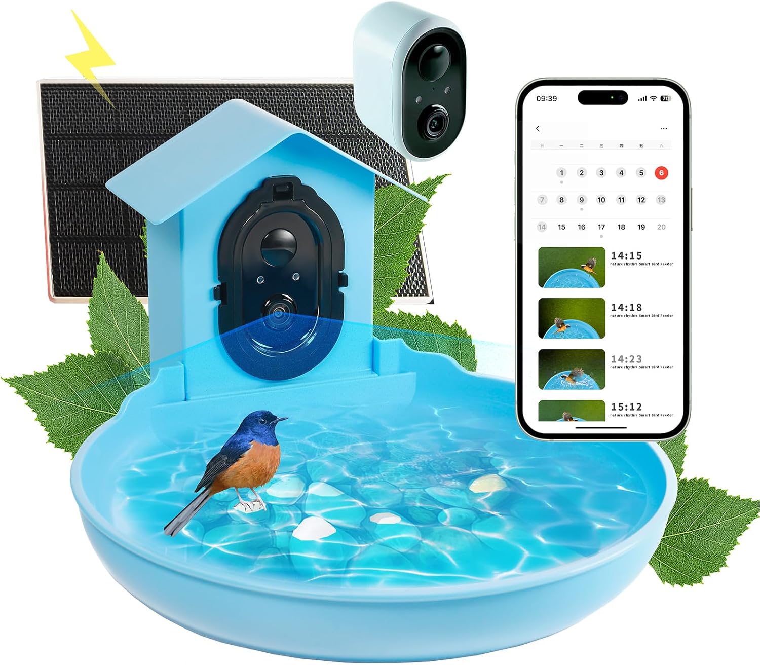 Nature's Rhythm Bird Bath, Decorative Outdoor Garden Decor
