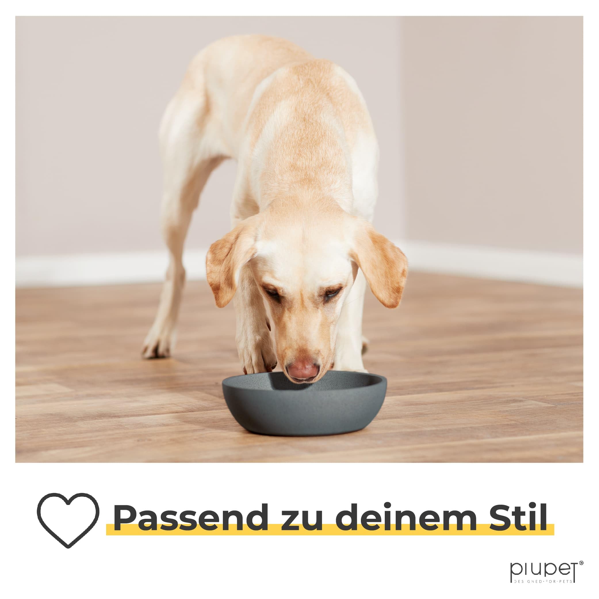 PiuPet® Futternapf I 2 x 1,6L I Grau I Spülmaschinenfest I 21,5cm Durchmesser I Hundenapf Grosse Hunde I Wassernapf Hund I Futternapf Hund