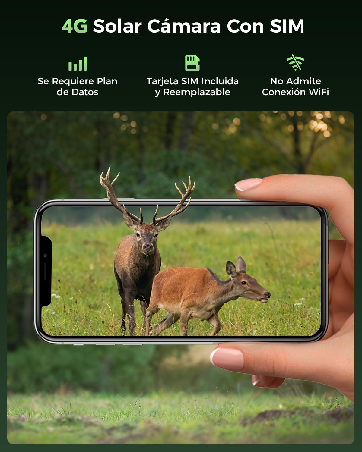Xega 4G LTE Solar Cámara de Vigilancia con Tarjeta SIM, 10000mAh Batería | Detección de Movimiento,Audio Bidireccional,Foco y Sirena, Alertas por Aplicación,Resistente al Clima No Compatible con WiFi