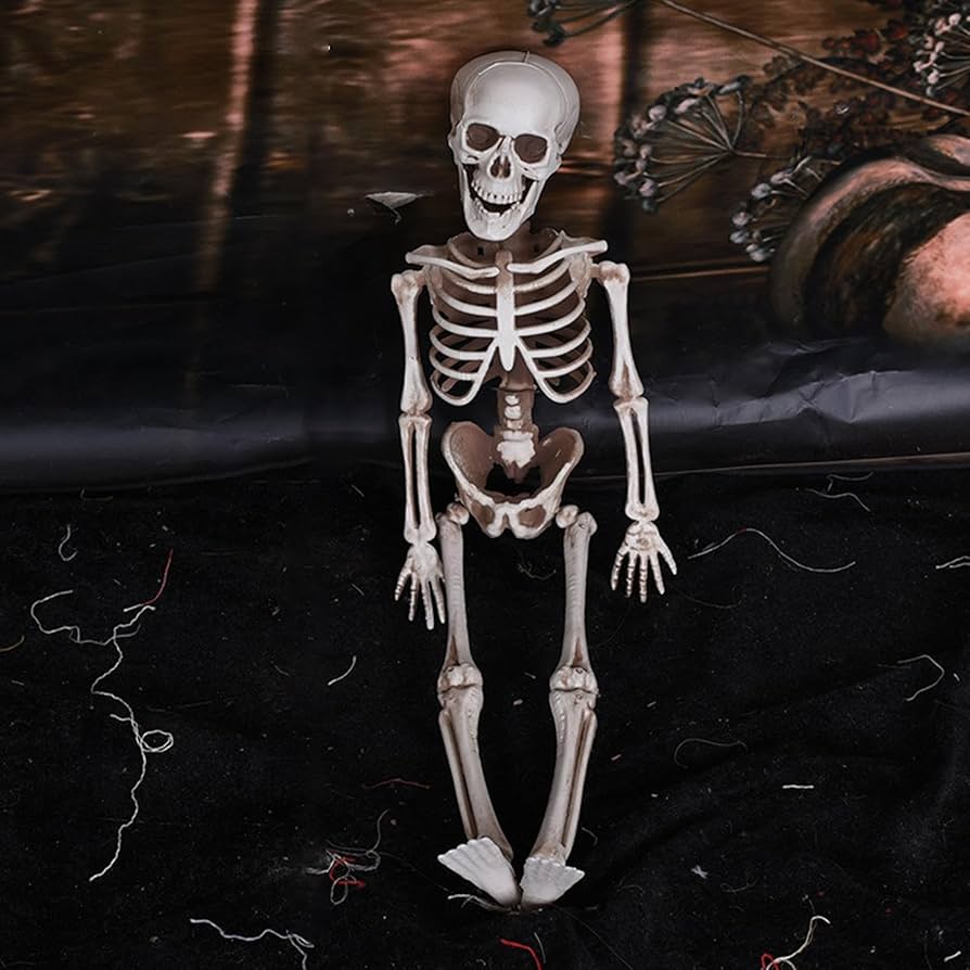 お値下げ‼️人骨模型ジャンク難ありハロウィンディスプレイハロウィン衣装に❗️ スケルトン SKELETON ハロウィン 2023 仮装 コスプレ
