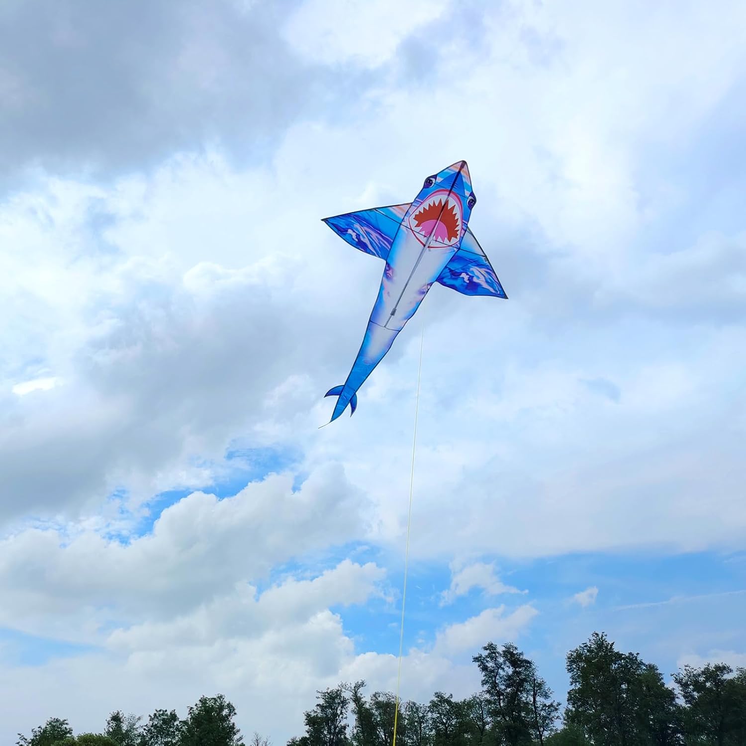 Kites for Kids and Adults, Easy to Fly for Beach, Single Line Kite Set for Beginners