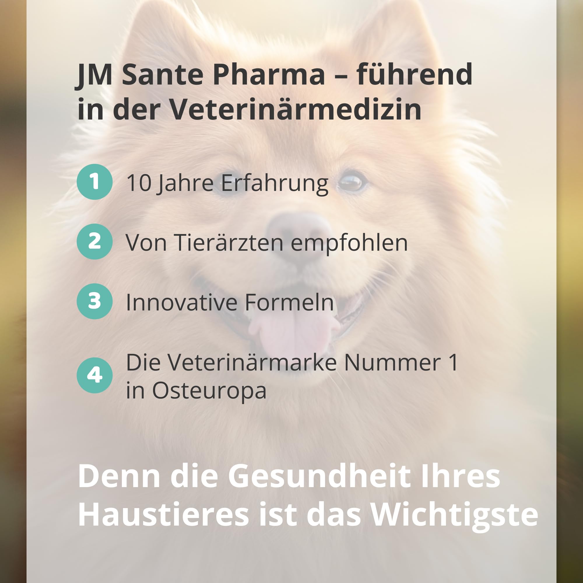 MAULHÖHLE - Zahnspray für Hunde & Katzen – Professionelles Dentalspray für frischen Atem und gesunde Mundhöhle, 30 ml