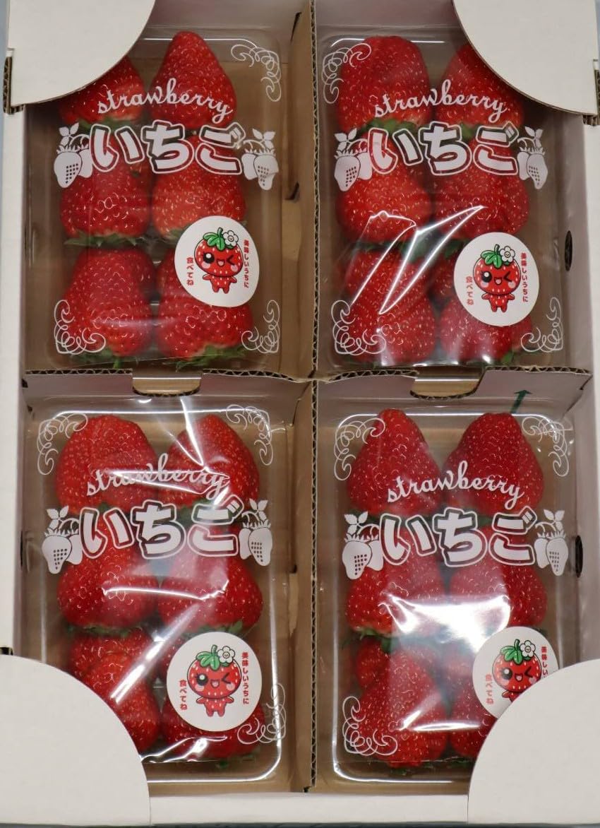 2箱　いちご　もういっこ　クール便 いちご 宮城 おすすめ1品種セット 250g×2パック 完熟 山元いちご農園