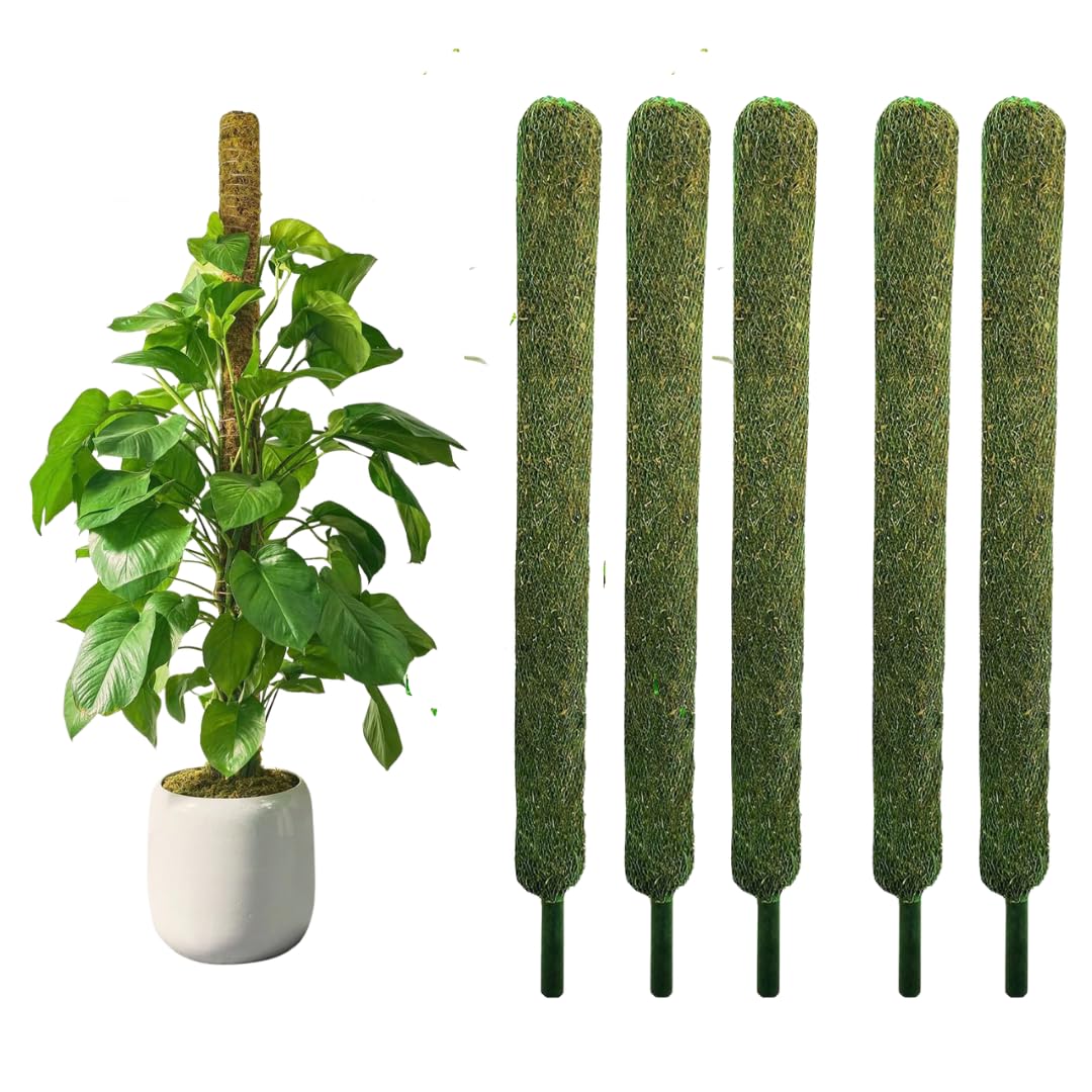 Nayra Plant Support Moss Stick(2Ft Pack of 6)- Green Grass Pole for Plants Support, Support Stick for Money Plant, Climbing Indoor Plants
