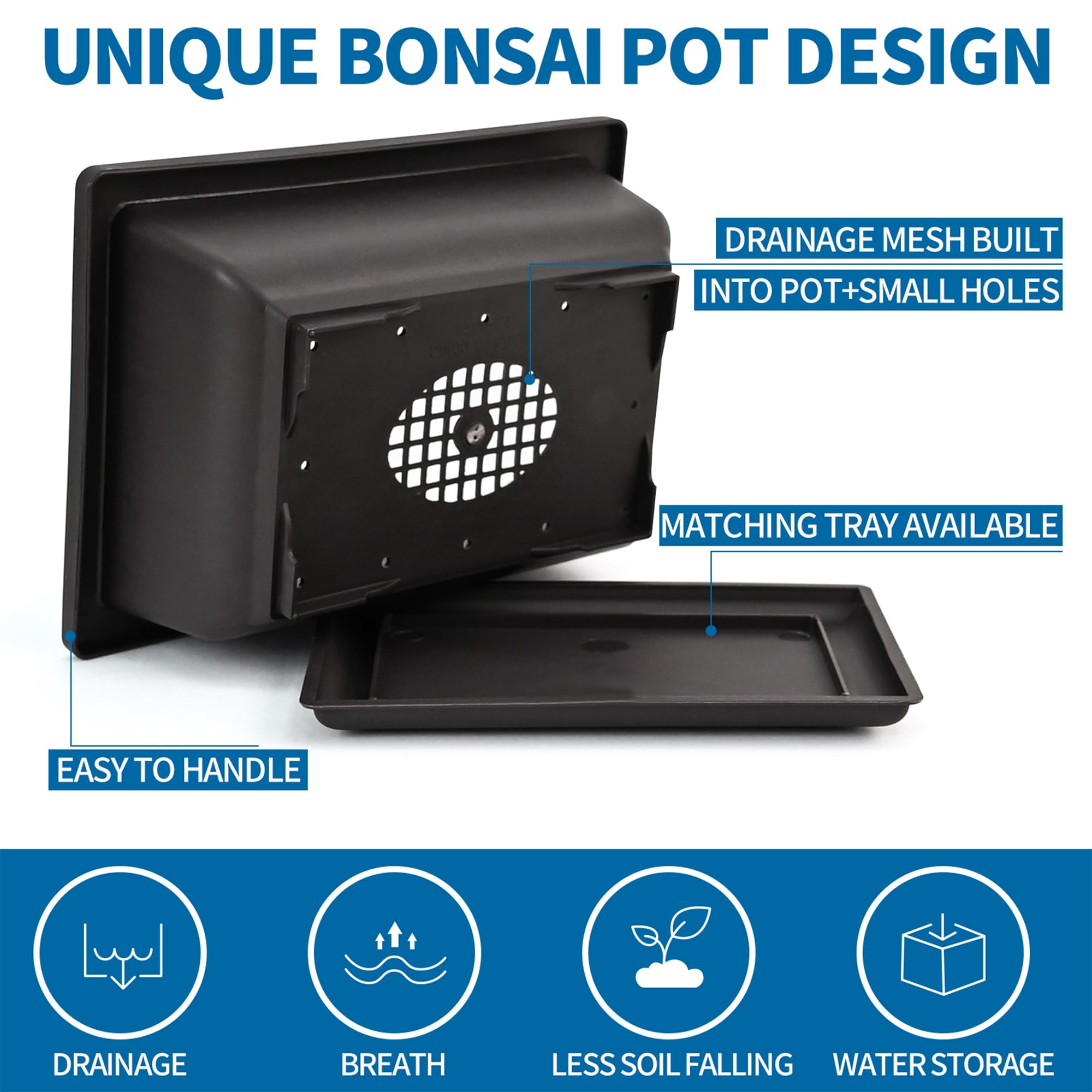 Starter kit per bonsai, 5 semi che crescono in abete blu, bosso cinese, sequoia alba, albero di fiamma e albero di Giuda, con attrezzi da giardinaggio completi con scatola regalo, regali di