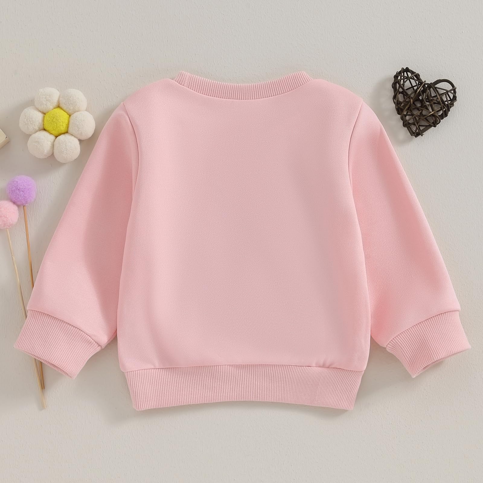 Bébé Fille Sweat-Shirt Sœurs Bébé Fille Lil/BIG Sis Sweat-Shirt Sweat-Shirt De La Sœur Lettres À Manches Longues Broderie Automne Sweatshirt Body Big Sister Little Sister Outfits