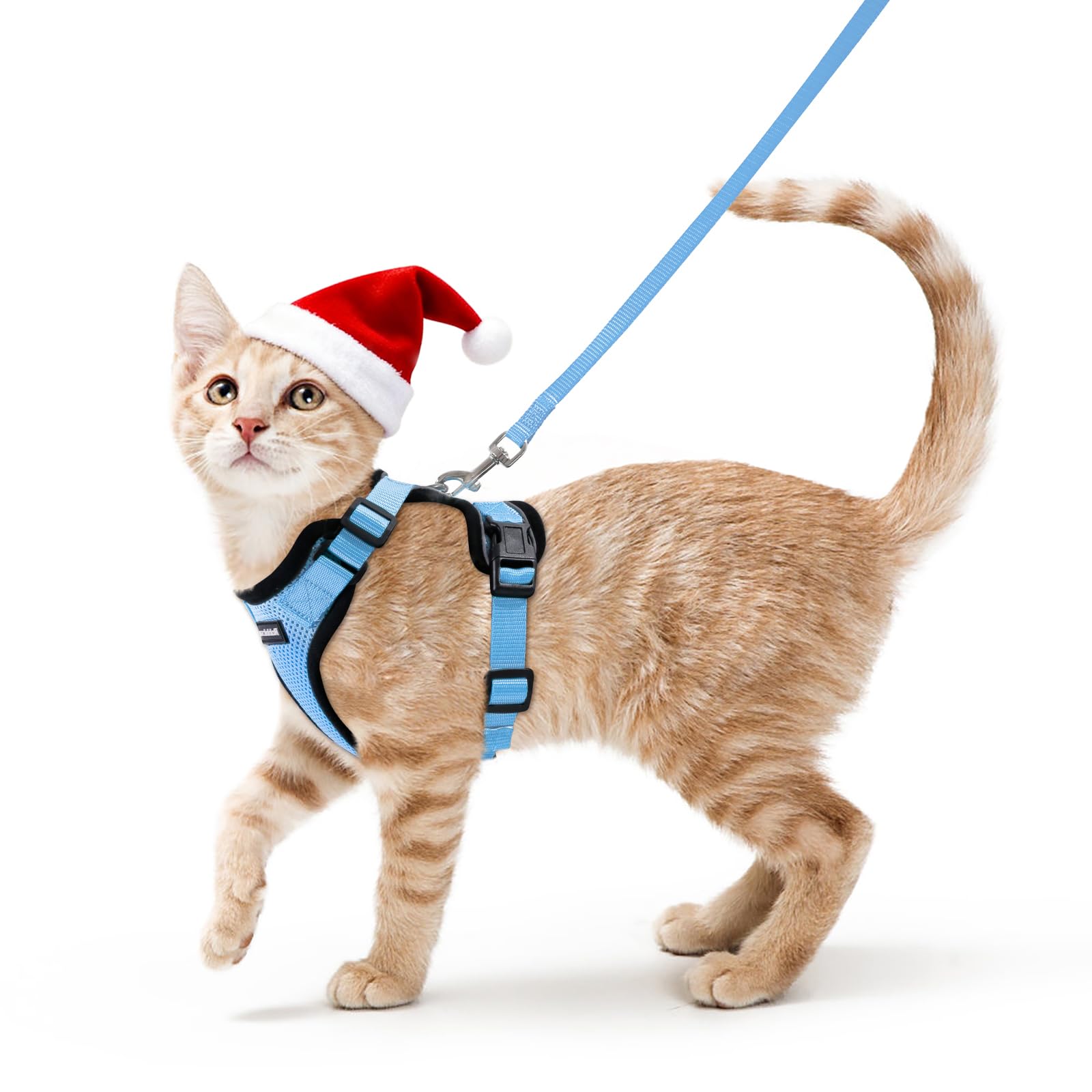 rabbitgoo Cat Harness for Small Dogs Adjustable Kitten Harness Light Blue XS Collar Reflective Breathable Vest for European Cats, Maine Coon, Persian, Top Tie with Lead