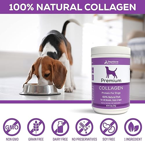Miniatura 4 de Proteína de gelatina de colágeno prémium para perros, 1 libra y 10 onzas
