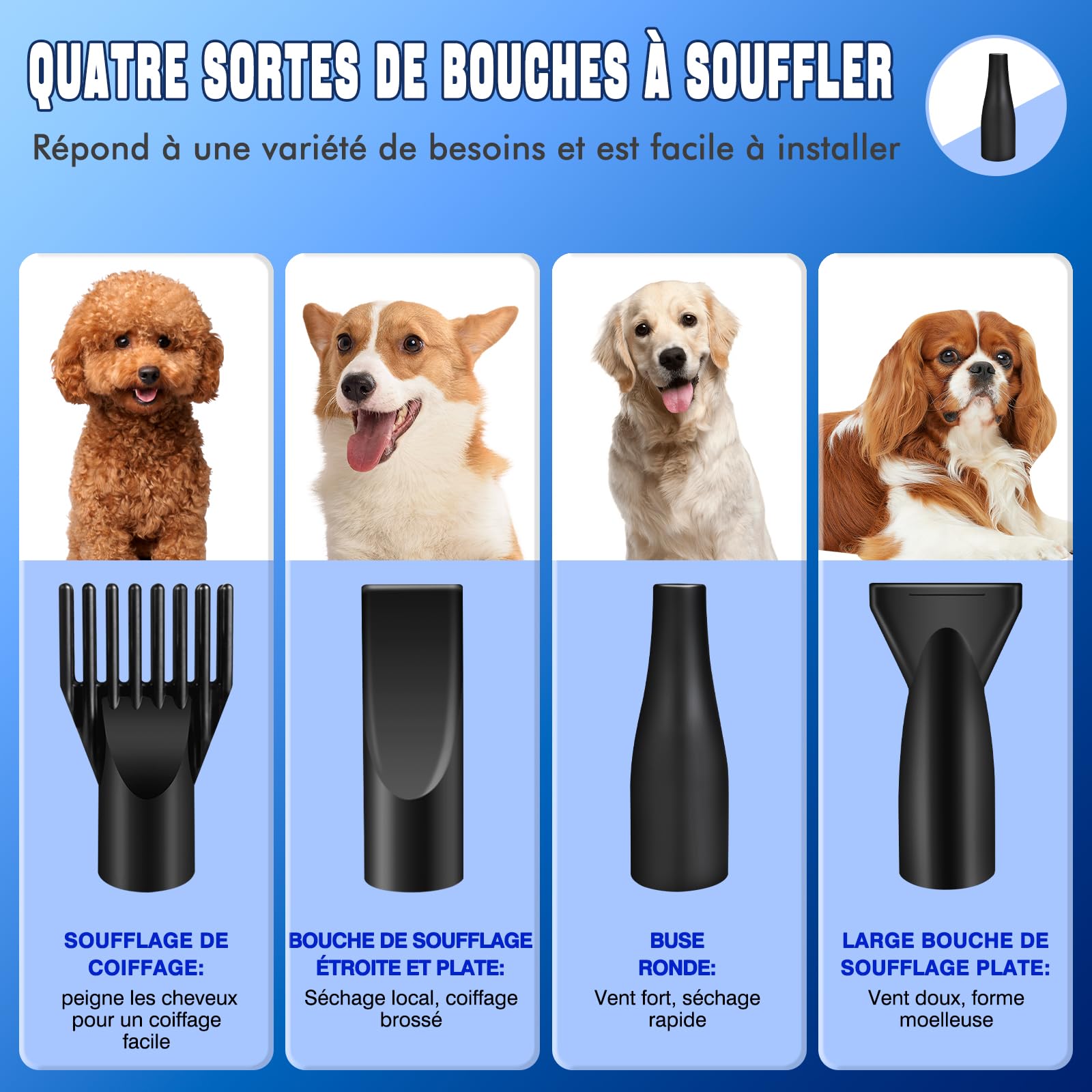 2800W Sèche-Cheveux pour Chien, Pulseur Chien silencieu, 2 vitesse: 50m/s et 100m/s, 2 Température: 35°c et 65°c, Souffleur pour Chien avec 4 Buses e Tuyau élastique