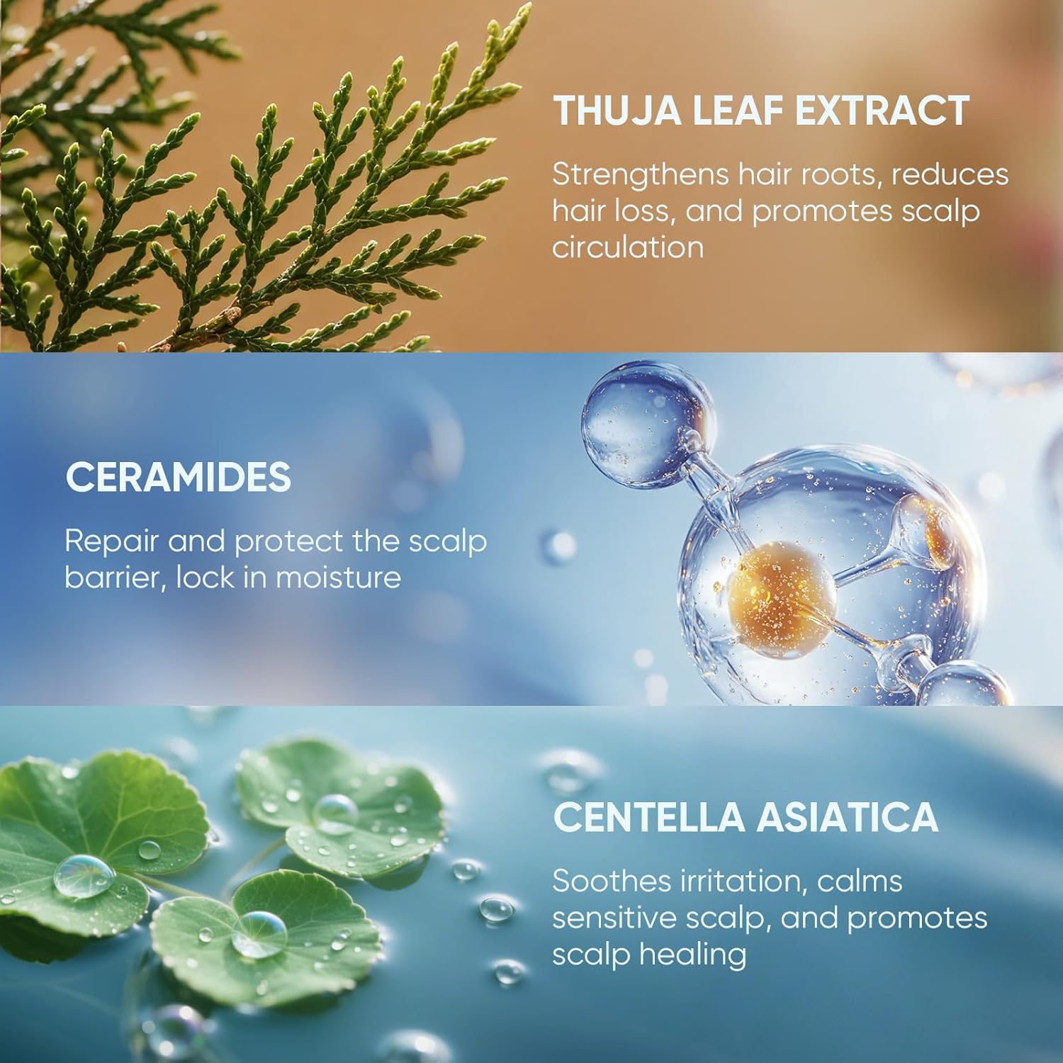 Anti Dandruff Shampoo with 1% Selenium Sulfide – Helps reduce Itchy Flaky Scalp, st... - Image 4