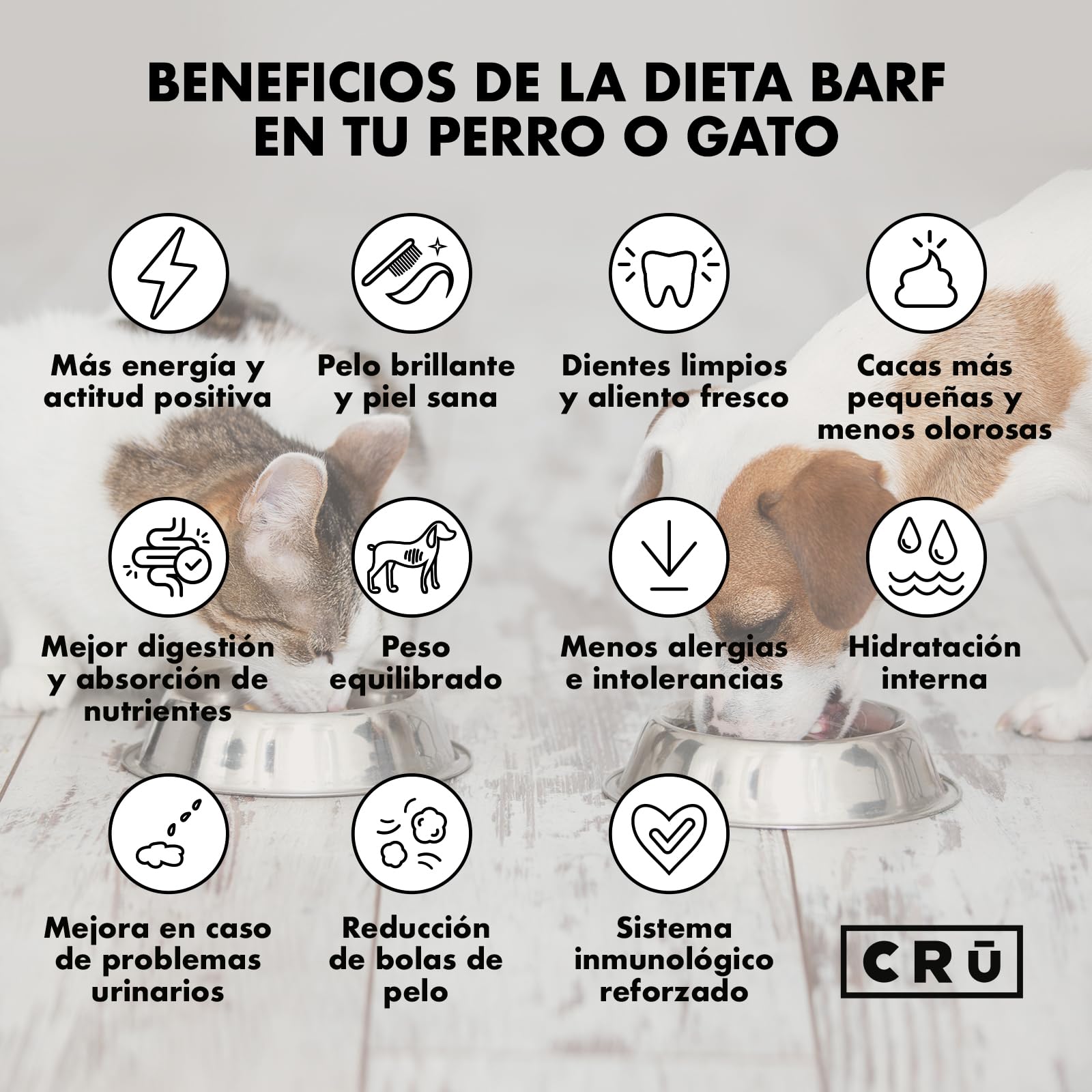 CRU - Comida para Gatos Cruda y Natural de Pavo - Dieta Barf para Gatos Junior y Adultos - Comida Congelada para 1 Mes - 10 Paquetes de 500g. (10 Paquetes, Pavo)