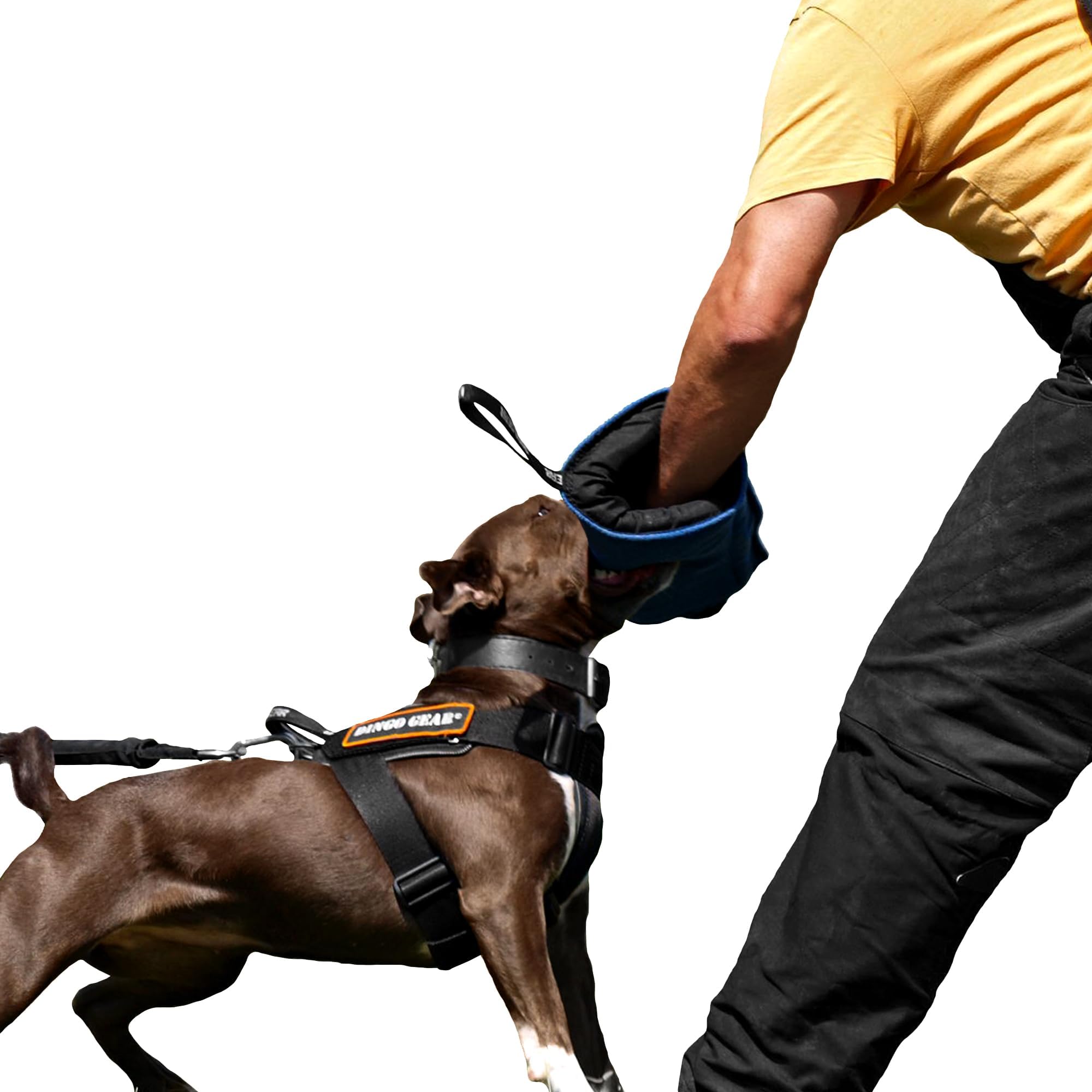 DINGO GEAR WWW.DINGOGEAR.COM 1977 Soft Nylcot Mini Bite Sleeve with Handle For Dog Training Blue S01962