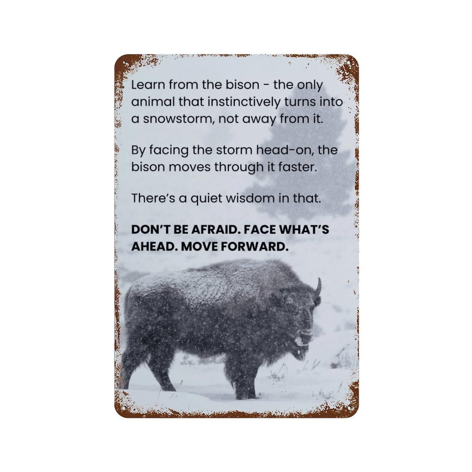 xiaoxiaoshen Facing The Storm Poster, Wild Boar Motivational Quotes, Courage And Resilience Wall Decor Art Metal Tin Poster Modern Home Decor Art Home Bar Shop Decorations Vintage Sign 30x20cm