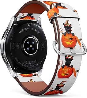 dog pedometer amazon