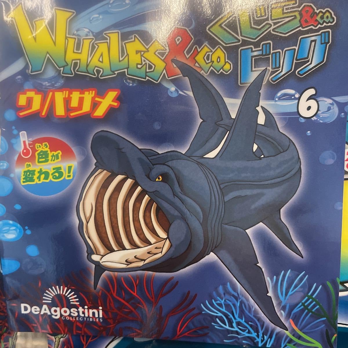 Amazon.co.jp: ウバザメホオジロザメWHALES&coくじら&coビッグシー