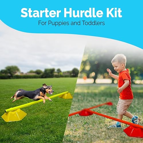 Miniatura 2 de GSi Sports Cones - 40 Pack Training Cones for Agility Drills, Soccer & Sports Practice (Multiple Shapes)