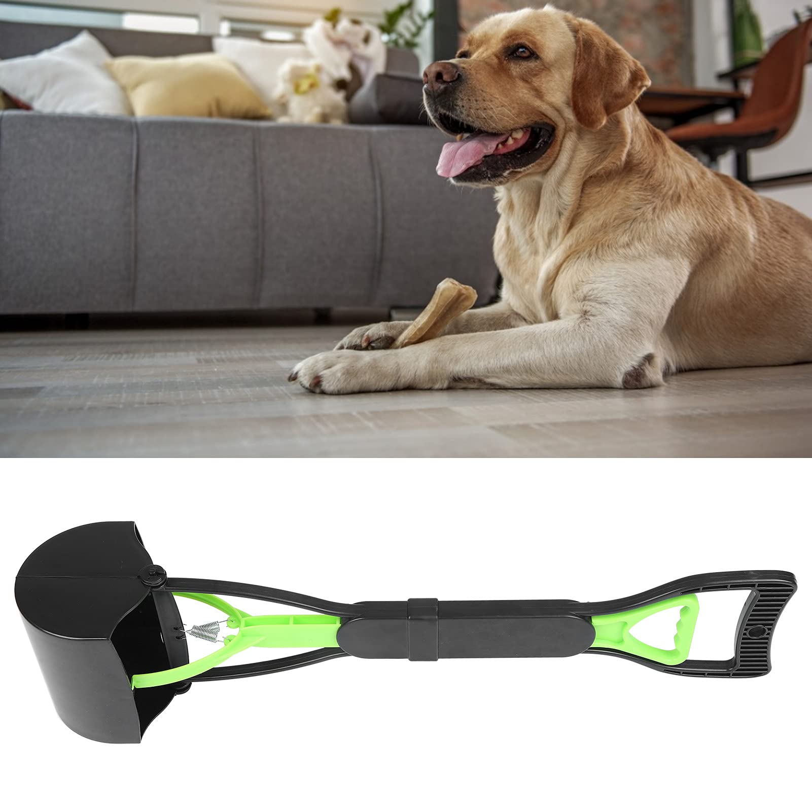 Paletta Raccoglitore per Escrementi Cani con Manico Lungo, Portatile, 60 cm, Verde e Nero