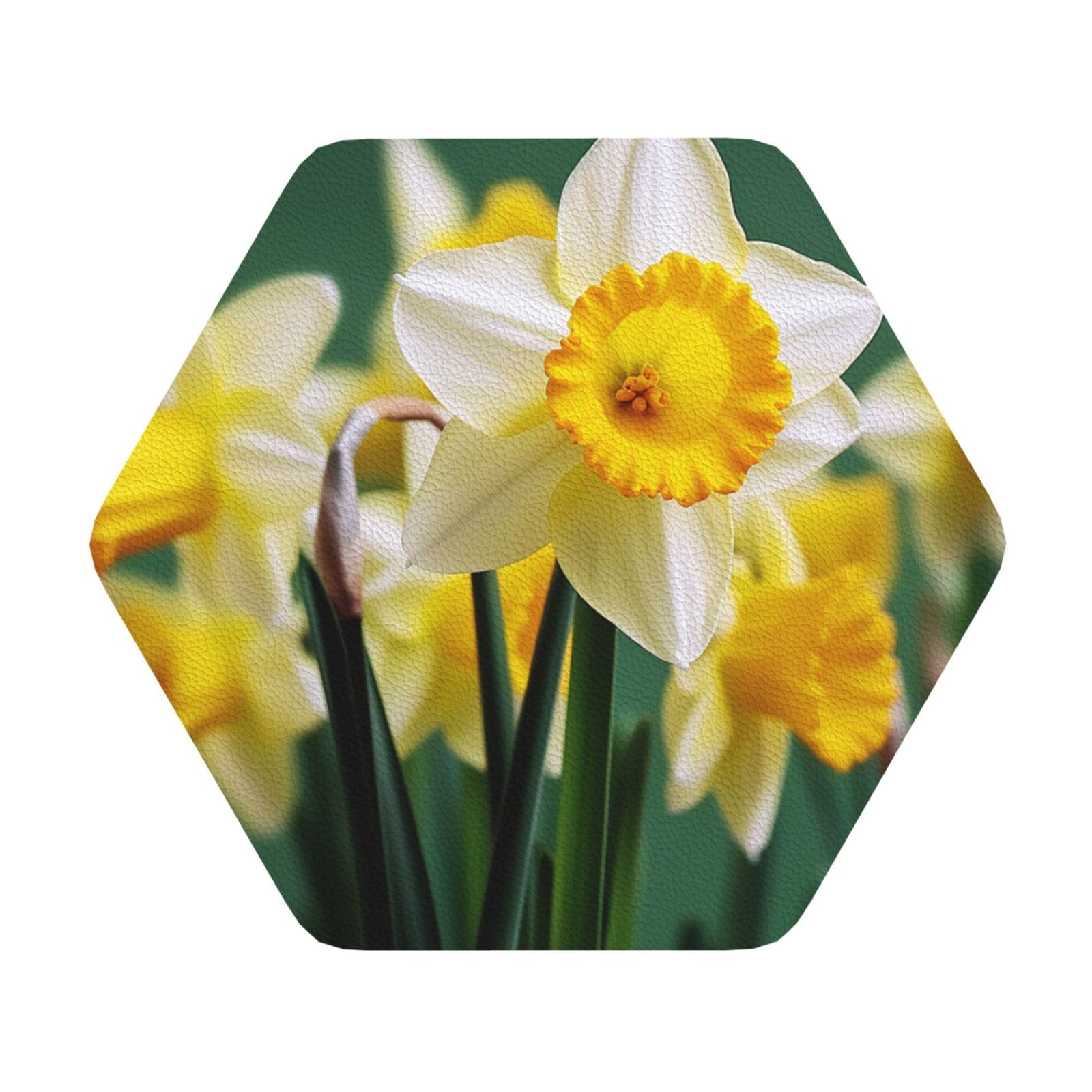 4Pcs Drink Coasters, Daffodil Flower Coasters for Drinks Leather Absorbent Coaster Set Heat-Resistant Mug Mats Coffee Cup Pads Housewarming Gifts for New Home