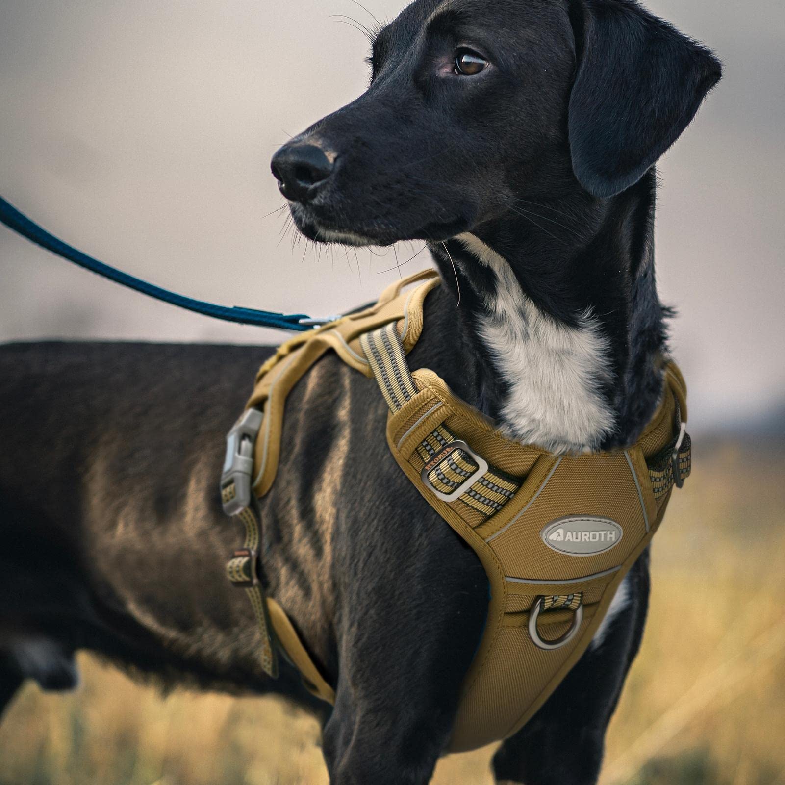 AUROTH Harnais de Chien Anti Traction, Harnais Tactique Chien Respirant Réglable Facile à Mettre pour Moyen Grand Chien, Gilet Durable Réfléchissant, Matériel Militaire Taille L, Brun Vert