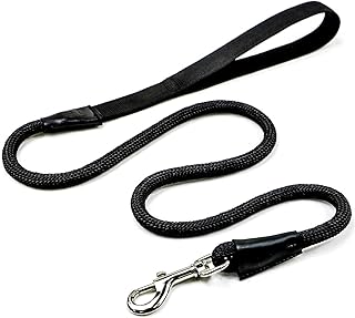Hundeleine aus Kletterseil Schwarz | Extra stabil und super leicht | 125 cm für mittlere und große Hunde | Führleine bis 100 kg belastbar
