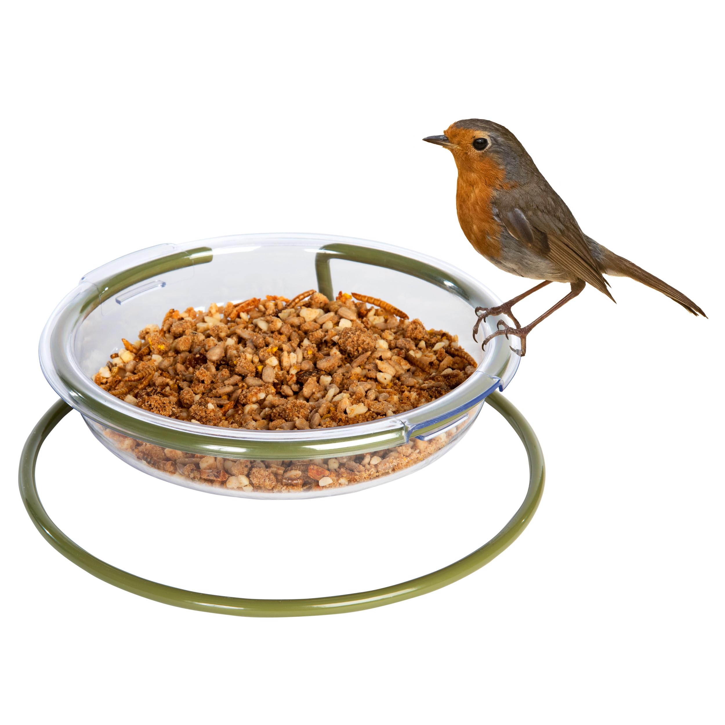 Ogrodowy karmnik dla ptaków – mącznik i rudzik Jacobi Jayne® I Love Robins™ łatwe czyszczenie danie mielony karmnik dla ptaków – karmniki dla rudzików do ogrodu