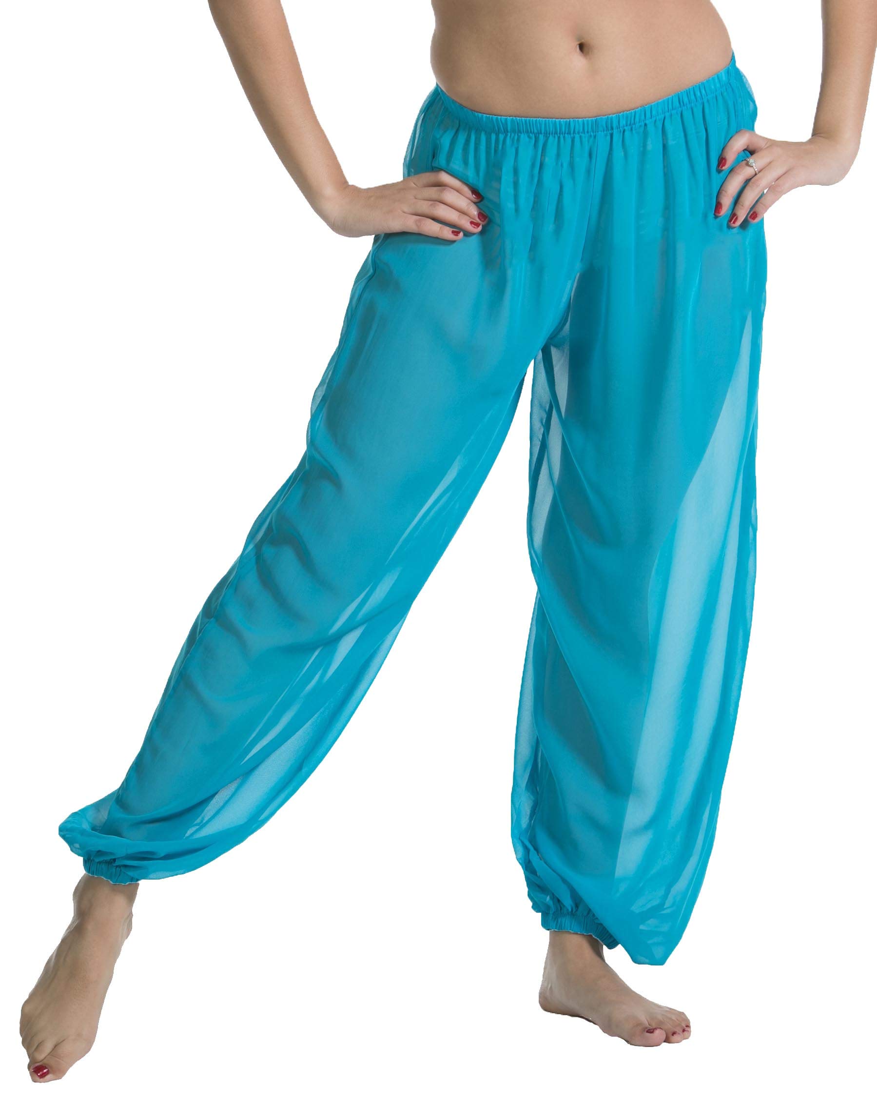 Belly Dance Chiffon Harem Pants Sheer Shadow