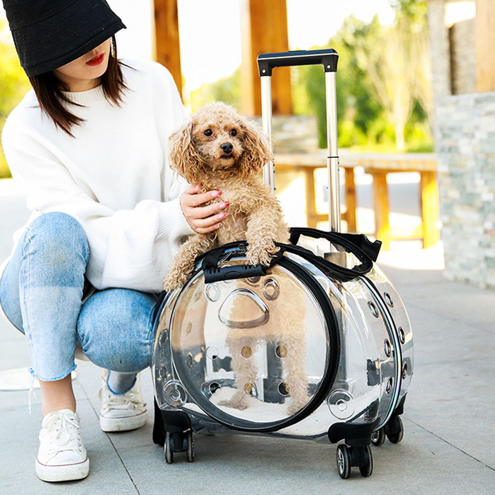 Trolley portatile per animali domestici, trasportino trasparente per cani e gatti con fori di ventilazione e ruote silenziose, zaino da viaggio con grande interno, trasportino per animali domestici