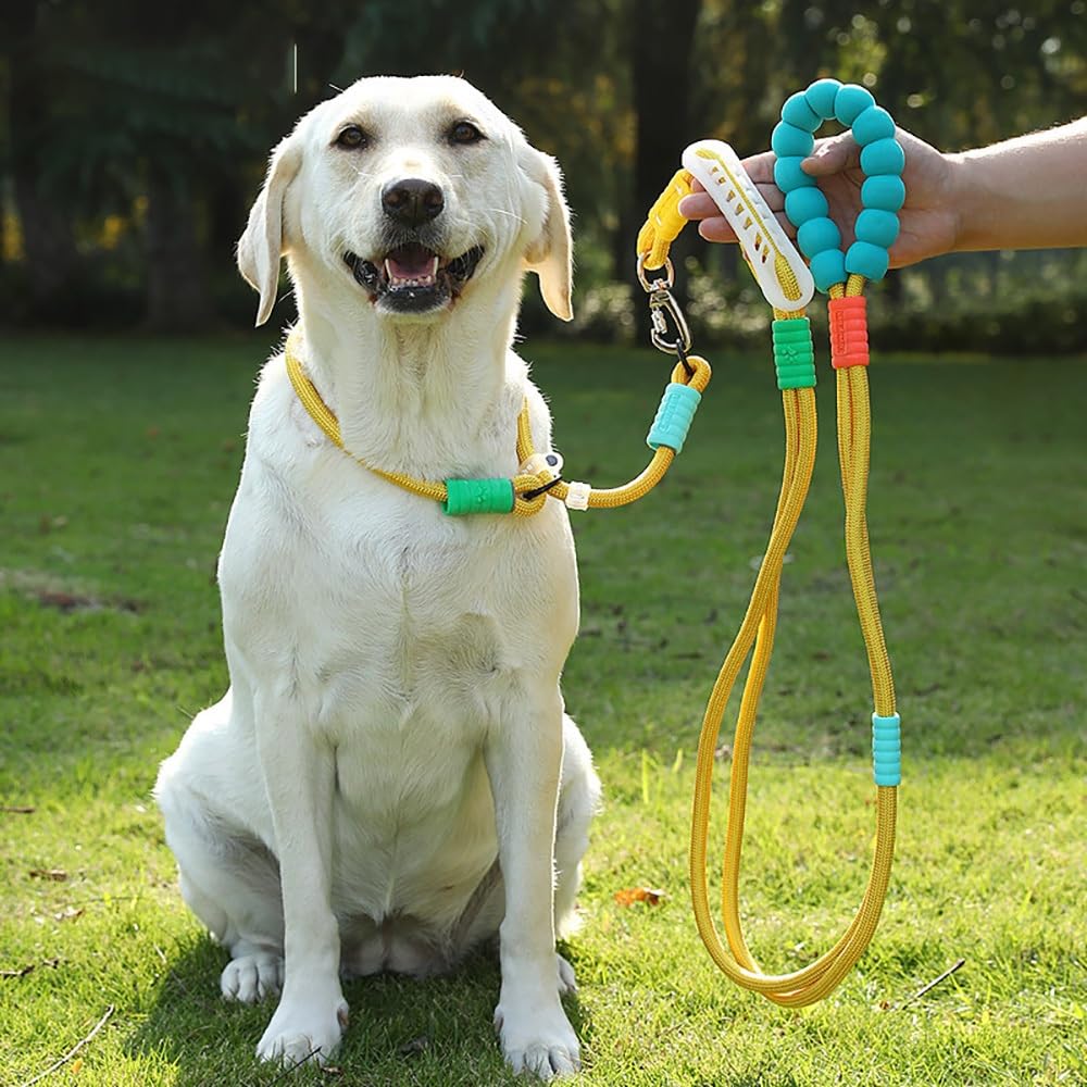 Correa for Mascotas | Costuras reforzadas, material resistente a la intemperie(Black)