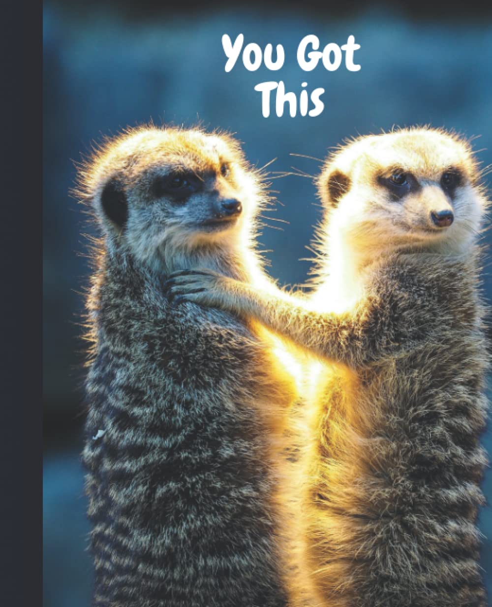 Meerkat inspirational notebook: You Got This! 100 lined pages