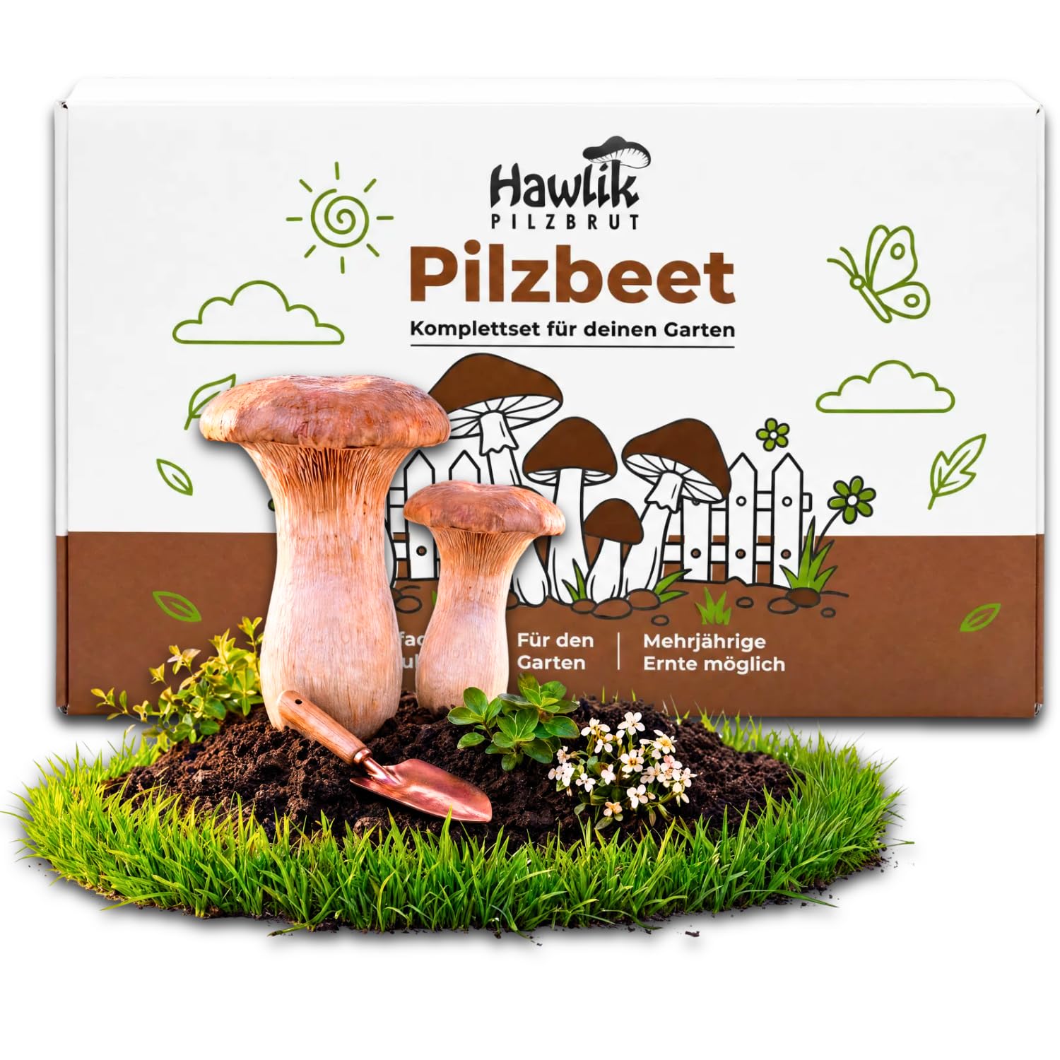 Hawlik Pilzbrut - Kit de champignon pleurote de panicaut - Facile à cultiver soi-même dans votre jardin - kit champignons à faire pousser - idéal pour le jardin