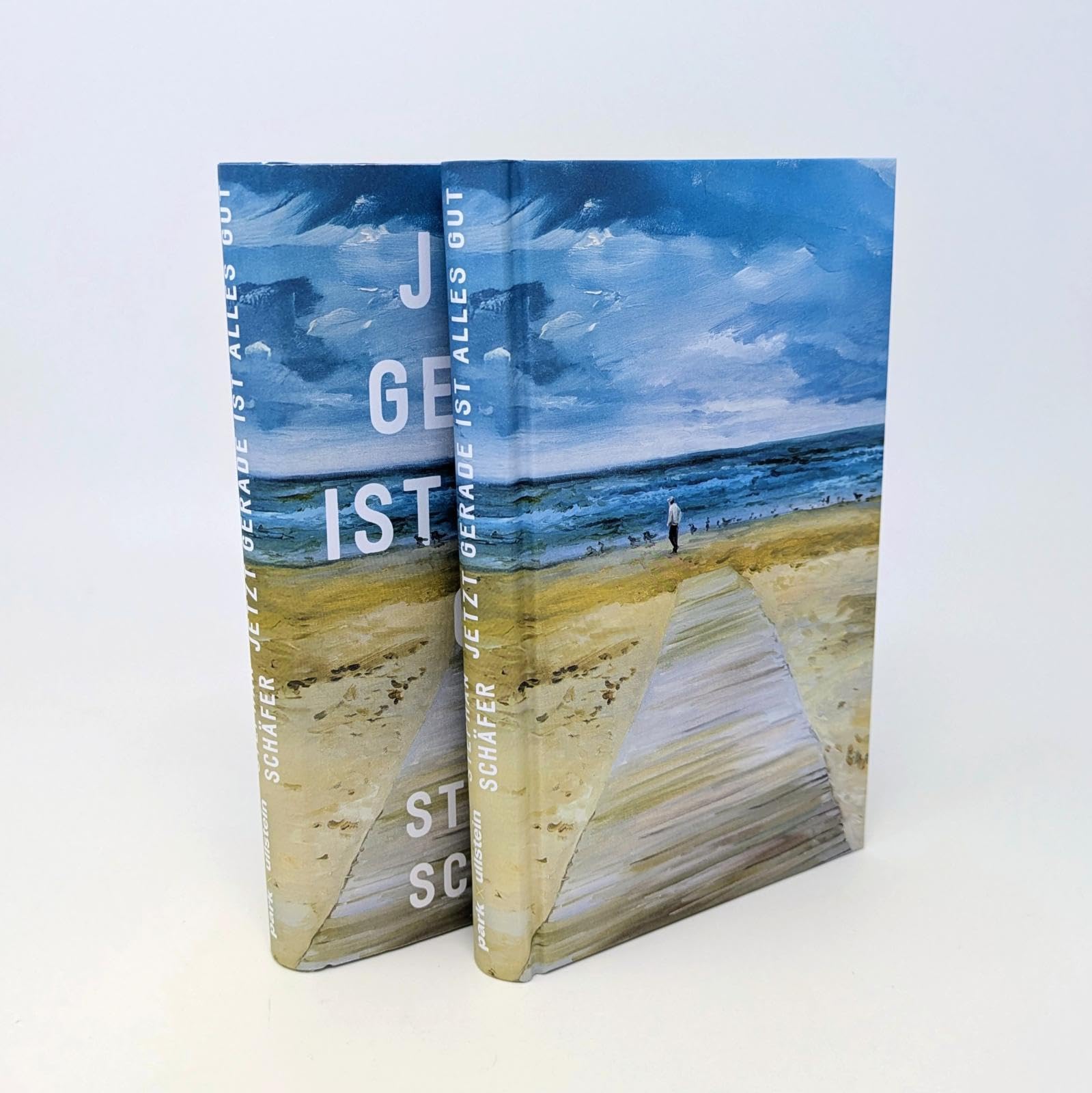 Jetzt gerade ist alles gut: Nach dem SPIEGEL-Bestseller "25 letzte Sommer" - der neue Roman von Erfolgsautor Stephan Schäfer